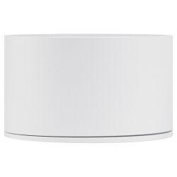 Светильник настенно-потолочный спот ЭРА OL28 WH/BK GX53, черно-белый, IP44