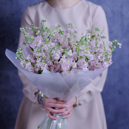 Букет из розовой маттиолы #497