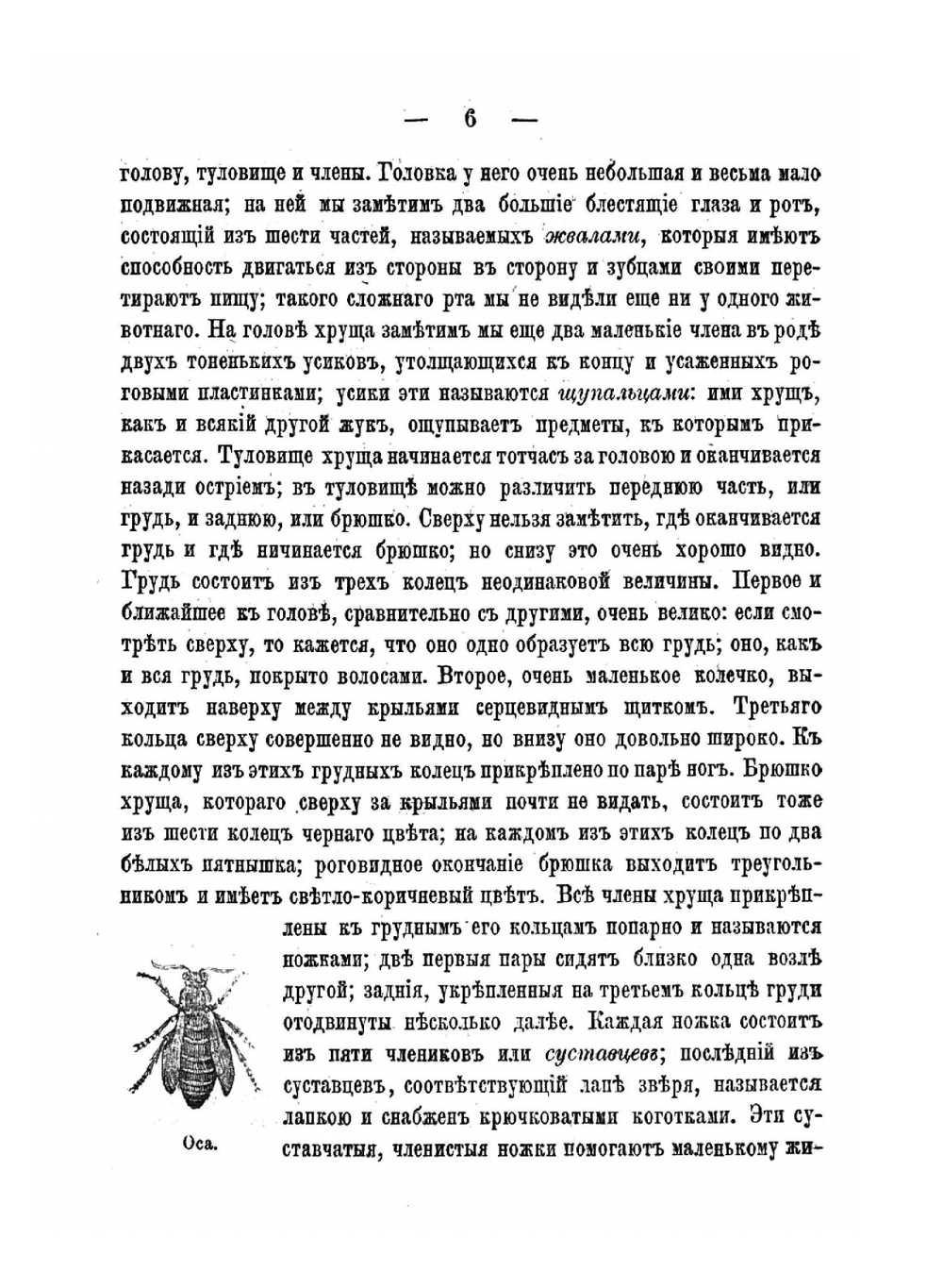 Детский мир и хрестоматия. Часть 2 | К.Д. Ушинский