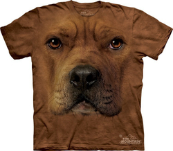 Pitt-Bull Face