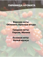 Отдушка Морошка 50 гр