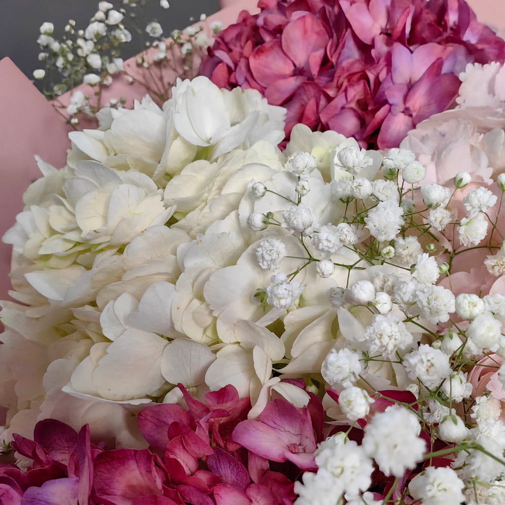 Букет из 9 гортензий и гипсофил