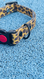 Ошейник леопардовый из Биотана для собак , ширина 20 мм, длина 30-40 см