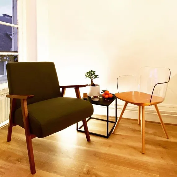 Стул Bjorg Arms с прозрачной спинкой