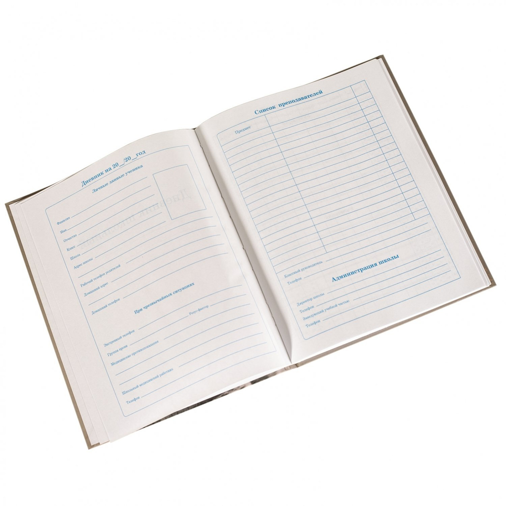 Дневник школьный Alingar 1-11 кл., 40л., 7БЦ, глянцевая ламинация, 17,0 см. * 21,6 см, "The most power"