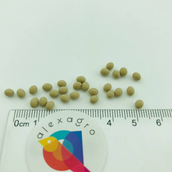 ИЗАНАС семена салата Rijk Zwaan семена – фото 13