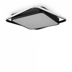 Накладной светильник Freya  FR10030CL-L88B