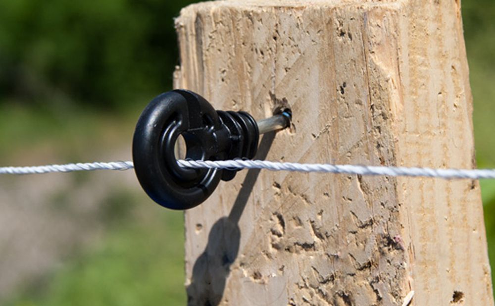 Изолятор для электропастуха, с саморезом  для дерева, 1 шт