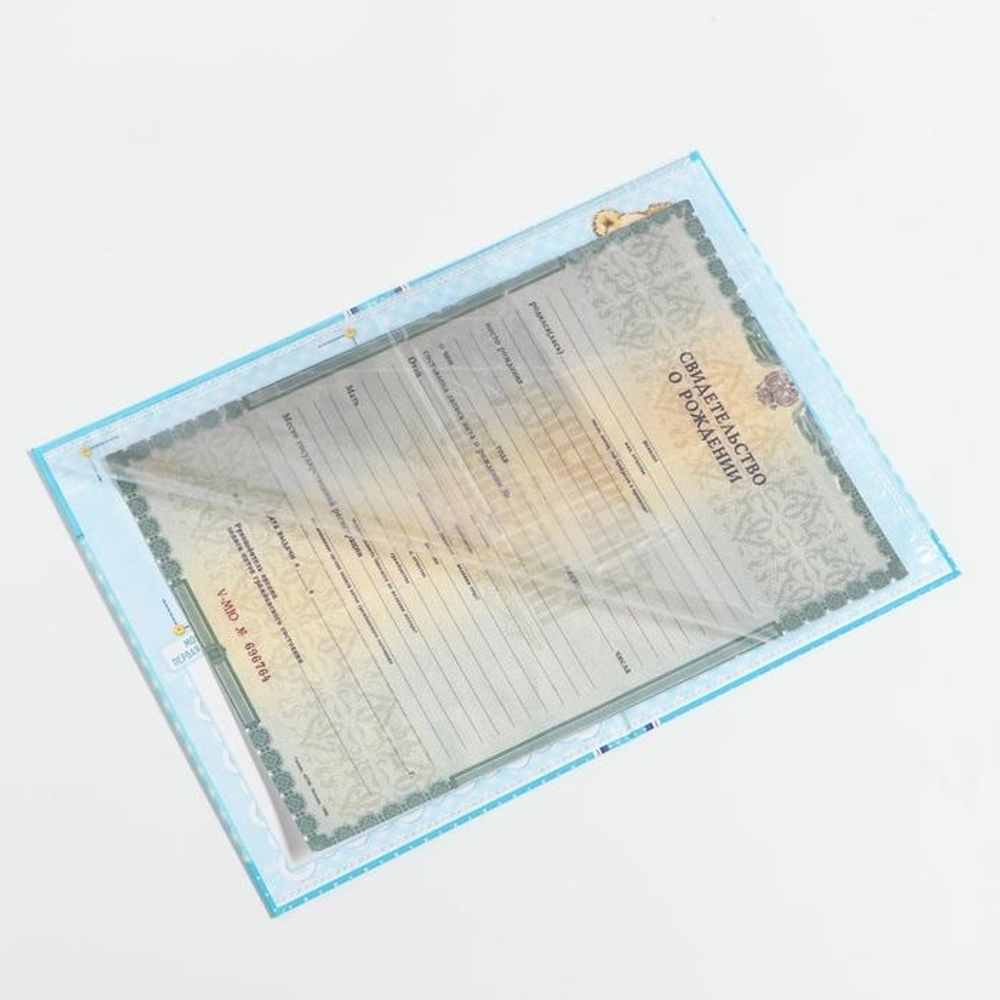 1717599 Свидетельство о рождении мальчика "Коляска" с карманом для бирки