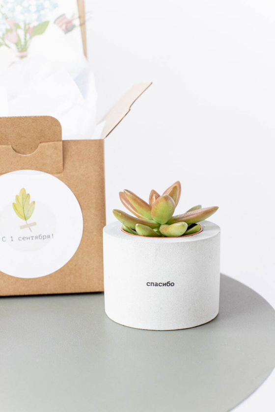 Подарочный комплект "Спасибо"