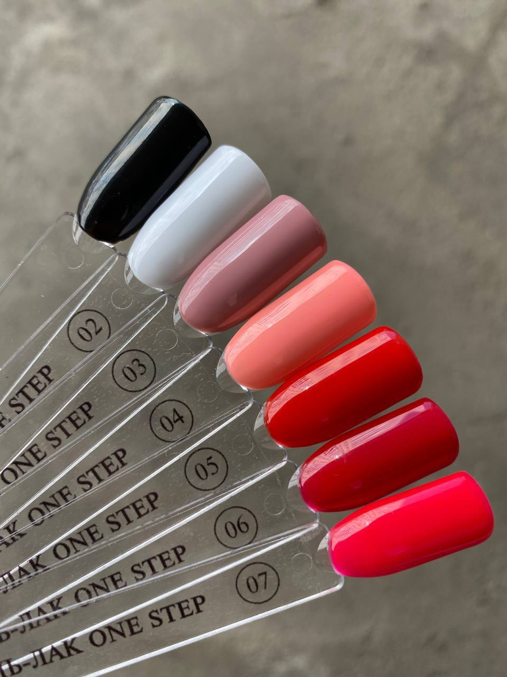 photo_5413599573173193359_y