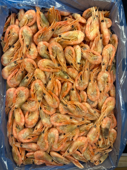 Креветка Северная 90/120 Крупная Икряная 5кг МореПродукт