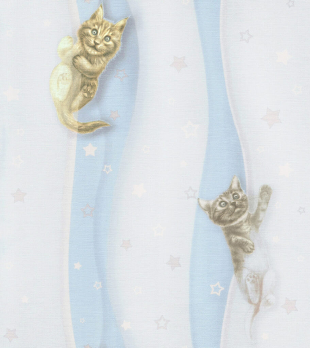 Котята - 81 голубая