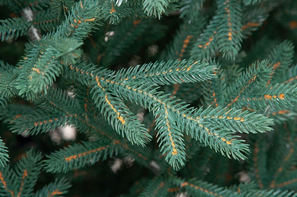 Ель искусственная голубая «Грация» (литая хвоя) 210 см / 2.1 м