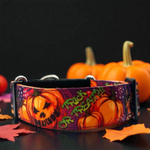 Ошейник Pawmpkin