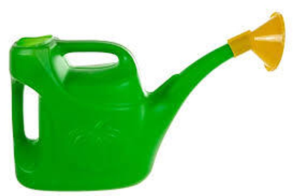 Лейка 10 л Урожайная с рассеивателем ,микс РАДИАН