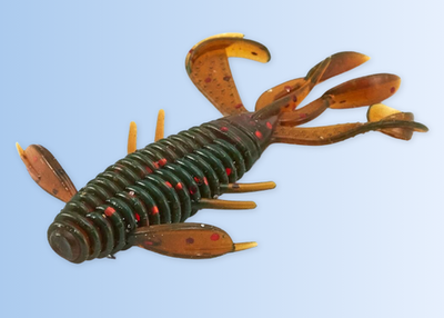 Bug