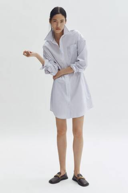 H&M - Stella McCartney Платье-рубашка из хлопкового поплина, белый/серый