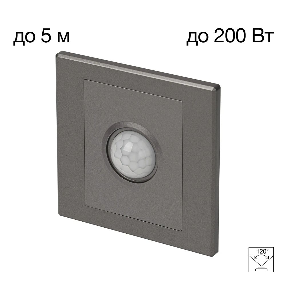 Citilux Скалли CLR005KS1 Встраиваемое реле с датчиком движения Графит