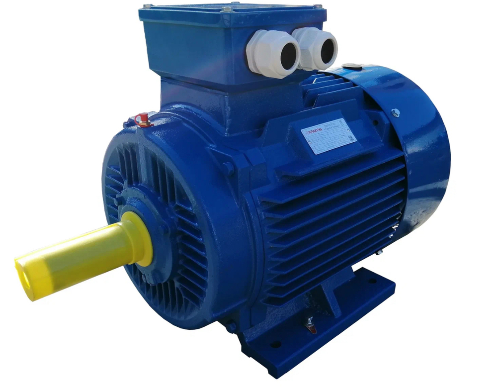 ДС-185/332550001 Двигатель