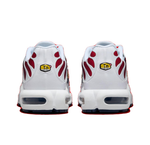 Мужские кроссовки Nike Air Max Plus 'PSG' FZ4776-100