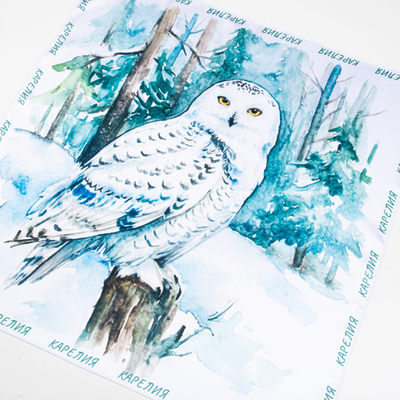 Шейный платок «Полярная сова», 70×70 см