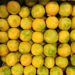 Мандарин (Абхазия) / 1 кг