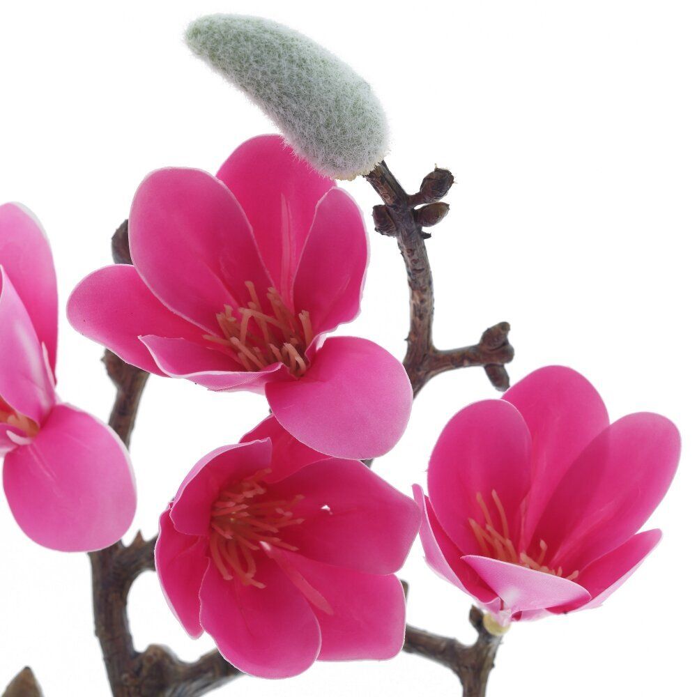 GAEM Цветочная композиция "Магнолия", L16 W12 H28 см