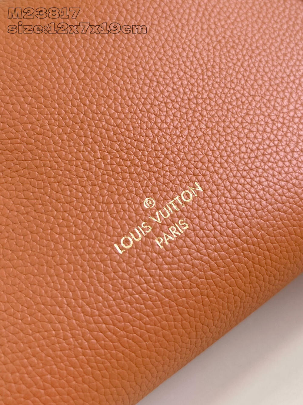 Louis Vuitton Side Trunk PM