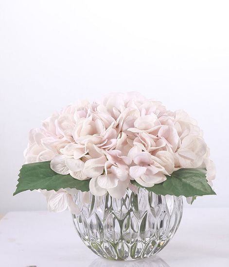 Гортензии светло-розовые, Cote Noire