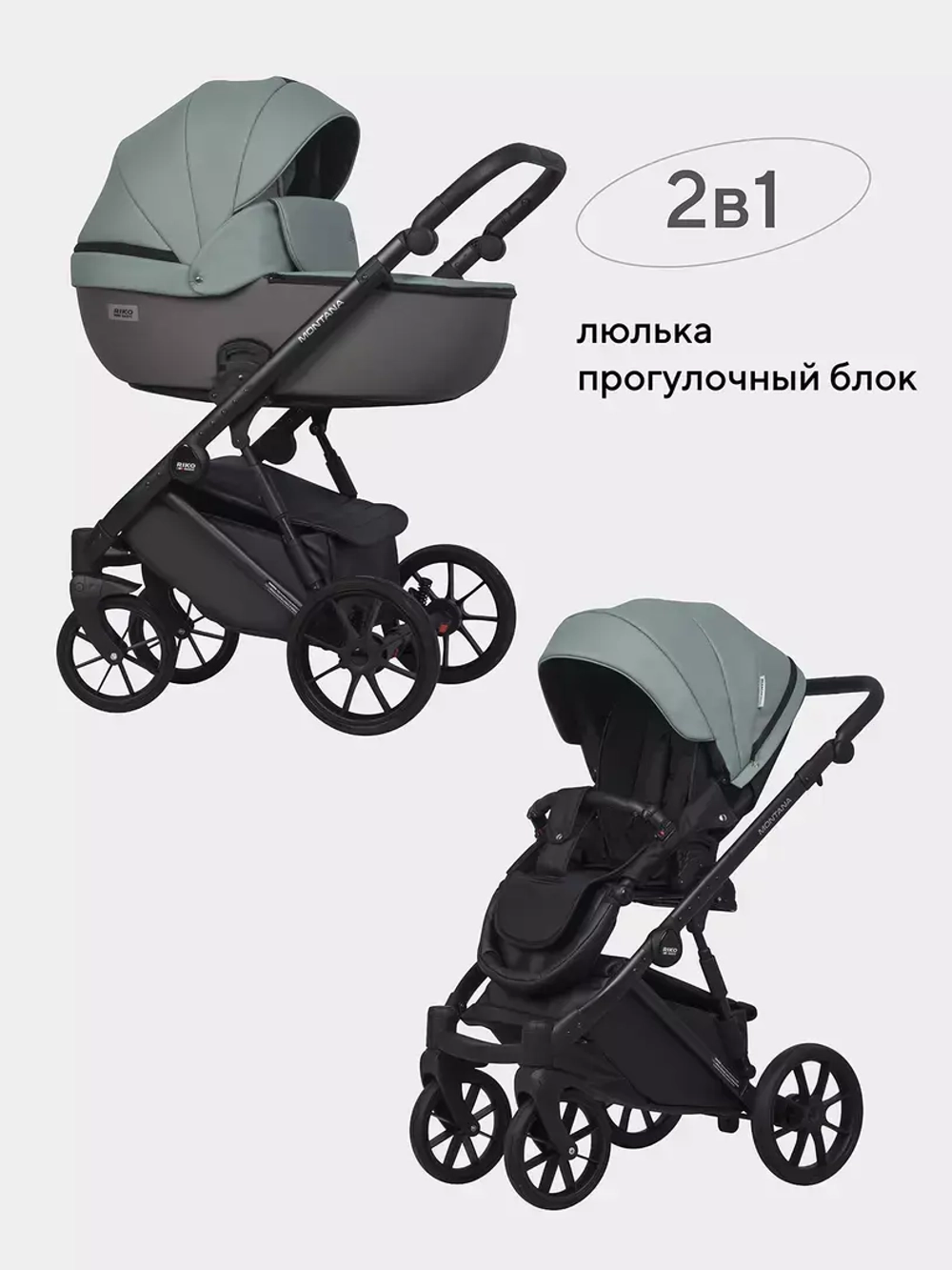 Коляска MONTANA ECCO (2 в 1) (RIKO BASIC)