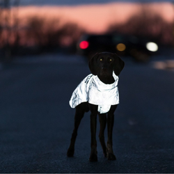 Попона-дождевик светоотражающая Lunas Trixie