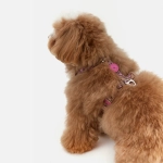 Анатомическая шлейка Hot Flames