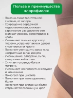30 штук(15 литров) Тайский Хлорофилл 100% оживает в воде