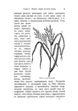 Куль хлеба и его похождения, рассказанные С. Максимовым | Максимов Сергей Васильевич