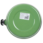 Чайник сталь, эмал, 3.5 л, свист, руч консоль, Рубин, С2509, зеленый туман, Т04/35/10/04  /07