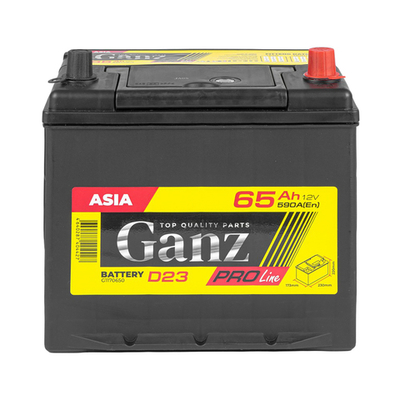 Аккумулятор GANZ PRO-Line JIS 65 А/ч обратный R+ 230x173x220 D23 EN 590 А