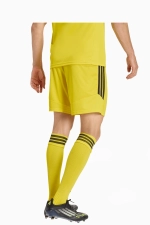 Шорты adidas Tiro 26 League - желтый
