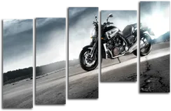 Модульная картина "Железный друг"