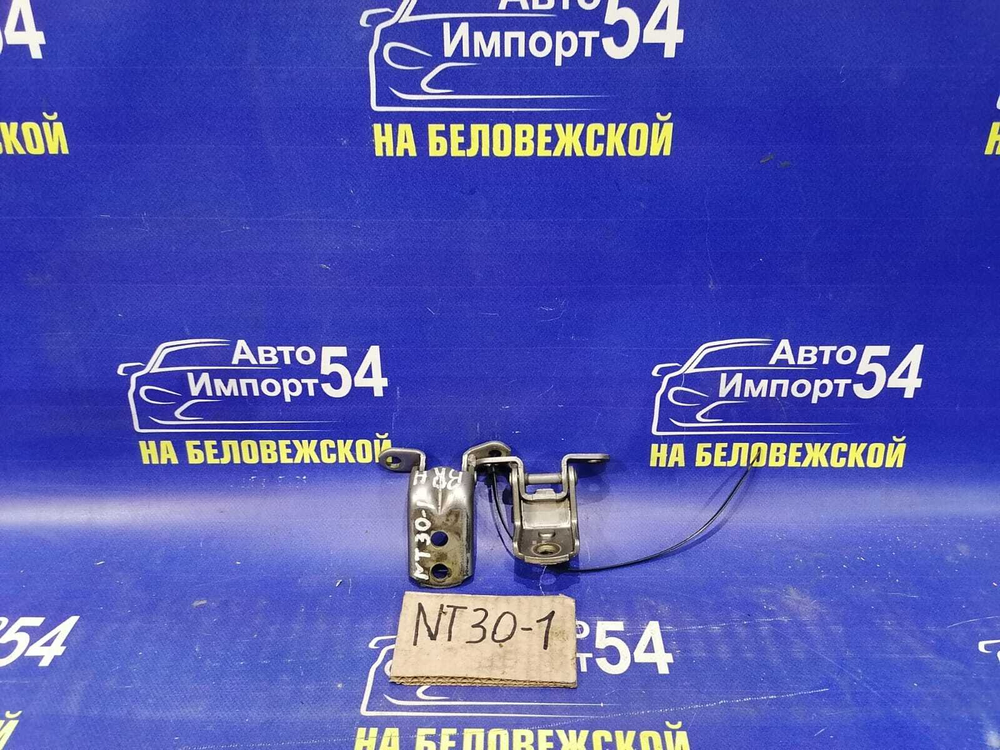 Петля двери задней правой NISSAN X-TRAIL 2003