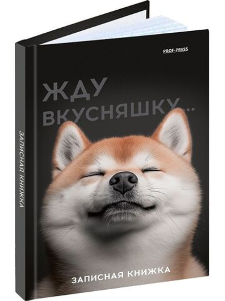 Блокнот А6 7БЦ 48л "Милый забавный пес" клетка, глянц.лам., лен