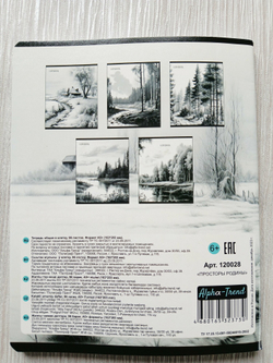 Тетрадь 96 листов А5+. "Просторы Родины", общая, в клетку. Формат А5+ (163*203 мм). Арт.120028. С полями. Комплект 5 шт.