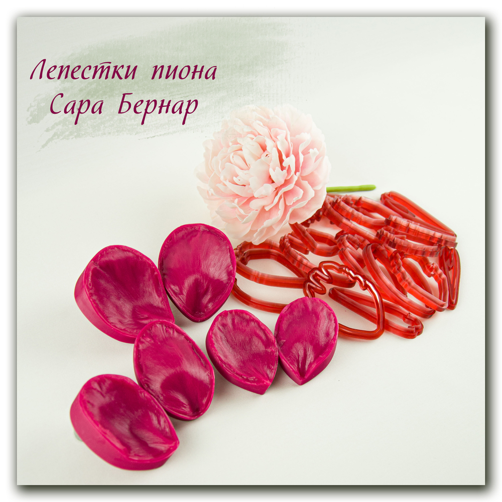 Комплект для лепки махровых пионов Сара Бернар