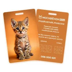 Карта Москвёнок CATS №6 (проход + питание)