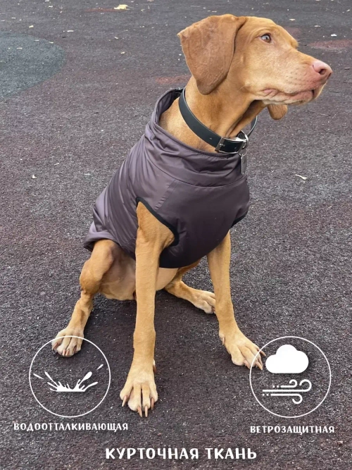 Жилет для собак мелких средних крупных пород