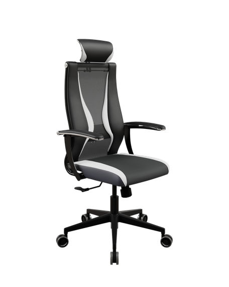 SynchroSit 10 B2-170U - T+UMF(SY271)+Extra /Kb38/Wh09/U0mL-b/H13mL-Pf-1DF(M20.B11.G19.W34)