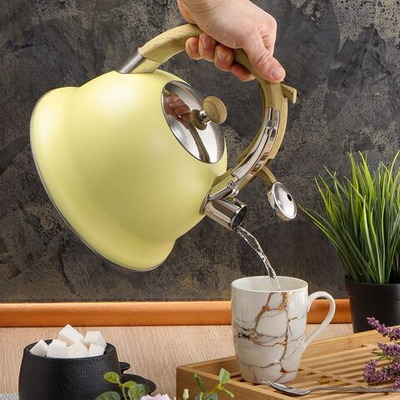 Чайник нерж, 3 л, свист, ручк бакелит, Daniks, жел, MSY-331C