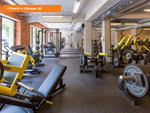 Рулонное покрытие EcoStep Fitness