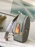 Louis Vuitton Backpack Titanium