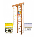 Шведская стенка Kampfer Wooden Ladder Wall Basketball Shield Стандарт с матом